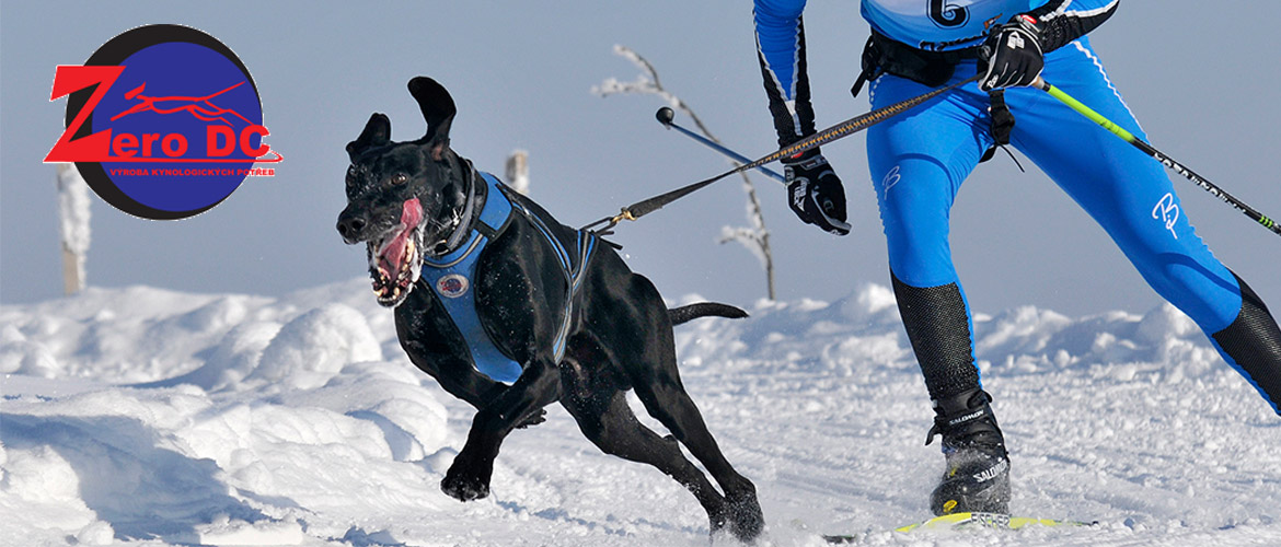 Skijoring