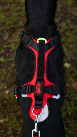 Szelki SHORT COMFY rozm. SX