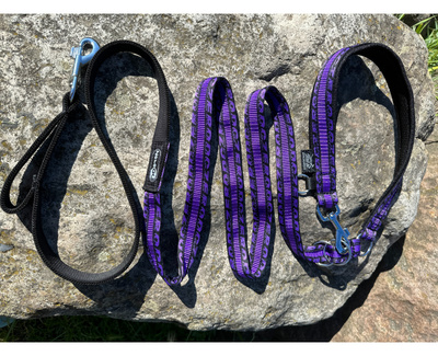 Leash ANAPURNA Single colour ROYAL up to 10 kg (PURPLE)