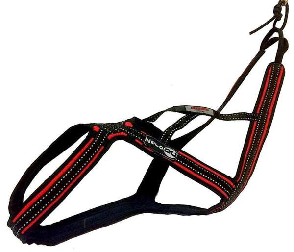 Harnesses CROSS DC size S