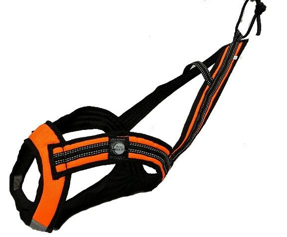 ZeroDC Harness FASTER size L, sleddog sport, canicross, bikejoring and skijoring