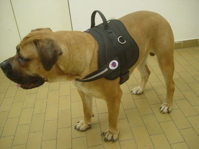 ZeroDC Uprząż do obrony XL