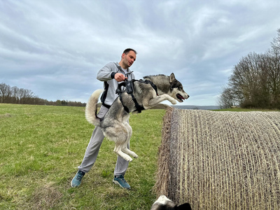 Szelki SHARK rozm. L