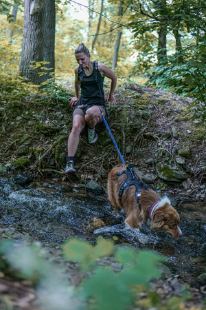 Szelki SHARK rozm. S