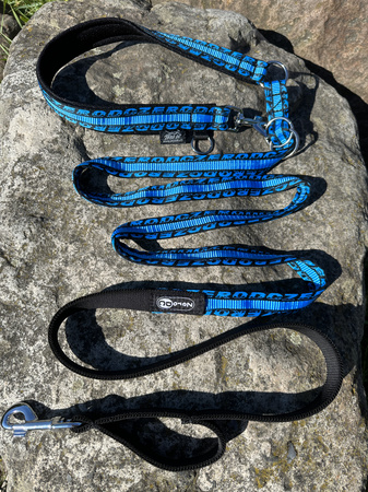 Leash ANAPURNA Single colour ROYAL over 10 kg (turquoise)