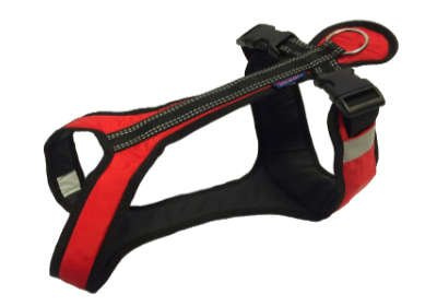 Harness SHORT size SL