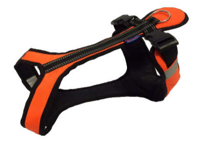 Harness SHORT size XXL