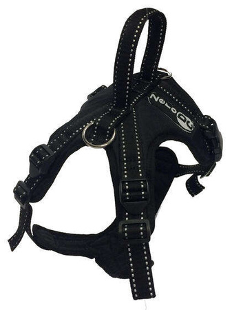 Szelki KODIAK rozm. M / pomarańczowe