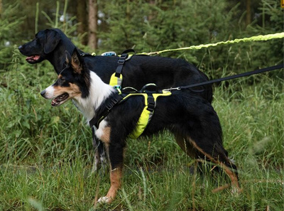 Szelki SHORT COMFY rozm. L