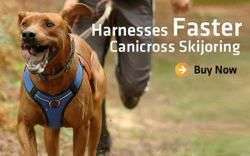 ZeroDC Harness FASTER size MINI III sleddog sport, canicross, bikejoring and skijoring