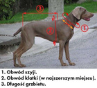 Uprząż ZeroDC FASTER ROYAL rozm. XL