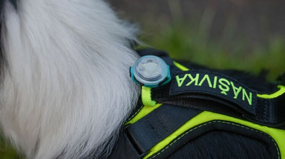 Szelki SHORT COMFY rozm. SX