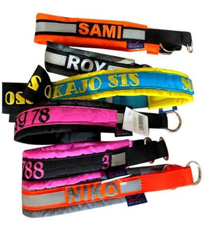 obroża półzaciskowa BLIZARD