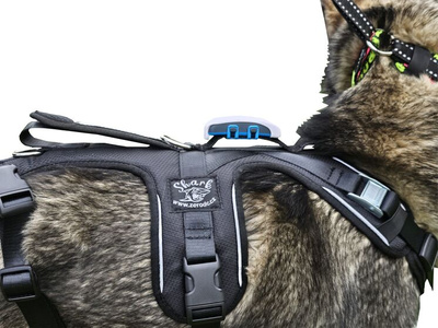 Szelki SHARK rozm. L