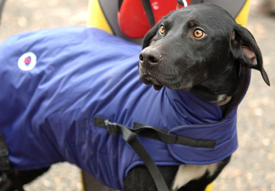 Kubraczki ocieplane z kołnierzem SL 30 cm