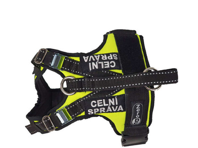 Szelki KODIAK rozm. M / pomarańczowe