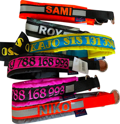 obroża półzaciskowa BLIZARD