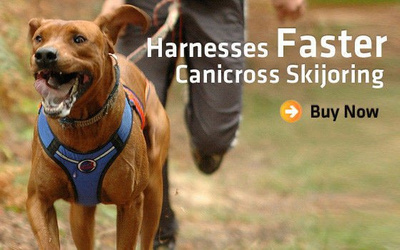 Uprząż ZeroDC FASTER rozm. SL