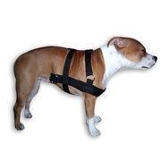 Szelki do uciagu PITT rozmiar L