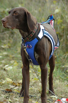 Uprząż ZeroDC FASTER rozm. L