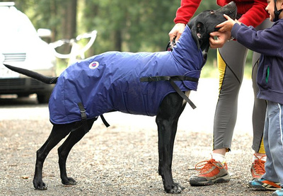 Kubraczki ocieplane z kołnierzem SX 25 cm